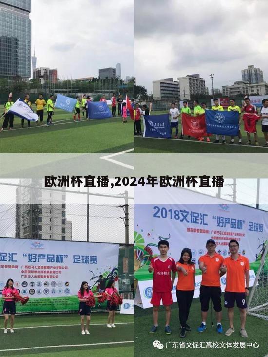 欧洲杯直播,2024年欧洲杯直播